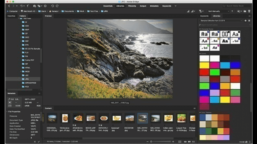 Download Adobe Bridge Gratis Pre-activated for PC