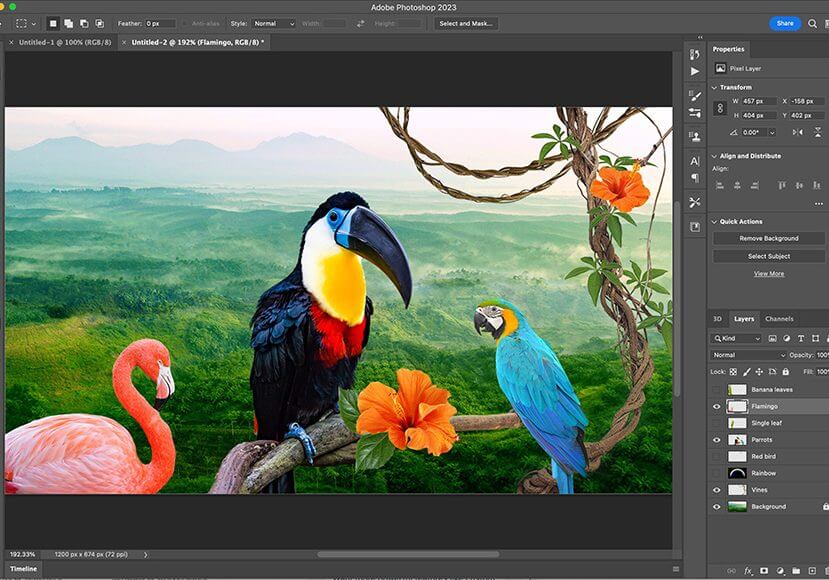 Adobe Photoshop 2025 