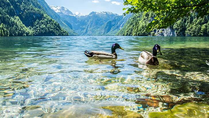 Mountain Duck's Full Version For Windows