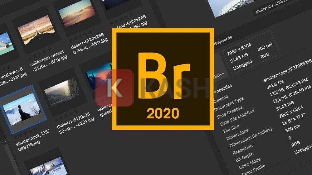 Adobe Bridge 2020: última versión gratuita para Windows.