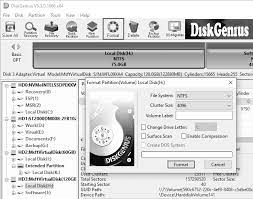 DiskGenius Professional