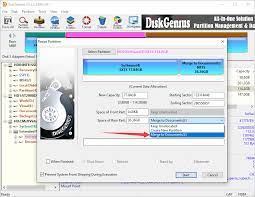 DiskGenius Professional