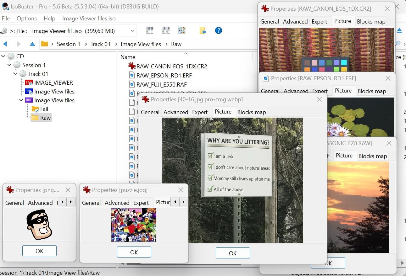 IsoBuster Full Vesion With Key